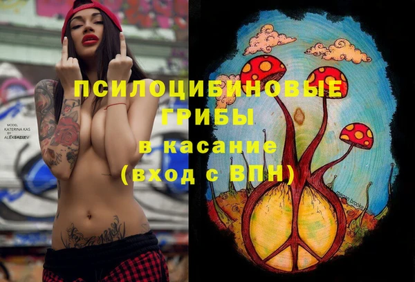 мескалин Алексин