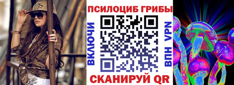 blacksprut ТОР  Истра  Псилоцибиновые грибы прущие грибы 